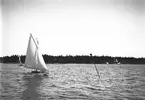 Gävle Segelsällskap. Seglingar. Den 25 juli 1908. 
