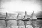 Gävle Segelsällskap. Norrlandsregatttan. År 1928. Gefle Segelsällskap stod som arrangör för Norrlandsregattan.