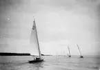 Gävle Segelsällskap. Norrlandsregattan.  År 1928.  Gefle Segelsällskap stod som arrangör för Norrlandsregattan. 