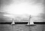 Gävle Segelsällskap. Norrlandsregattan.  År 1928.  Gefle Segelsällskap stod som arrangör för Norrlandsregattan.