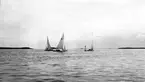 Gävle Segelsällskap. Norrlandsregattan.  År 1928.  Gefle Segelsällskap stod som arrangör för Norrlandsregattan.