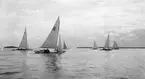 Gävle Segelsällskap. Norrlandsregattan.  År 1928.  Gefle Segelsällskap stod som arrangör för Norrlandsregattan.