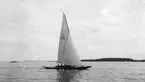 Gävle Segelsällskap. Norrlandsregattan.  År 1928.  Gefle Segelsällskap stod som arrangör för Norrlandsregattan. 