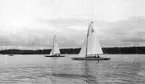 Gävle Segelsällskap. Norrlandsregattan.  År 1928.  Gefle Segelsällskap stod som arrangör för Norrlandsregattan.