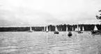 Gävle Segelsällskap. Norrlandsregattan.  År 1928.  Gefle Segelsällskap stod som arrangör för Norrlandsregattan.