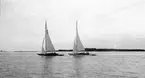 Gävle Segelsällskap. Norrlandsregattan.  År 1928.  Gefle Segelsällskap stod som arrangör för Norrlandsregattan.