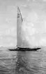 Gävle Segelsällskap. Norrlandsregattan.  År 1928.  Gefle Segelsällskap stod som arrangör för Norrlandsregattan.
