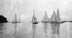 Gävle Segelsällskap. Norrlandsregattan.  År 1928.  Gefle Segelsällskap stod som arrangör för Norrlandsregattan.