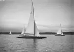 Gävle Segelsällskap. Norrlandsregattan.  År 1928.  Gefle Segelsällskap stod som arrangör för Norrlandsregattan.