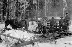 Skogsarbete på Finnskogen