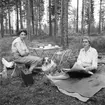 Picnic i skogen