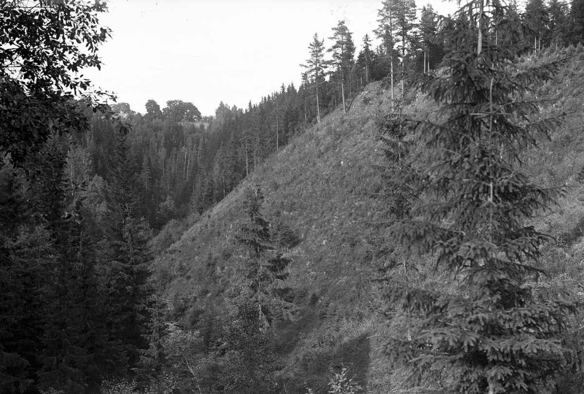 Solvarbo, Säter, 1922.