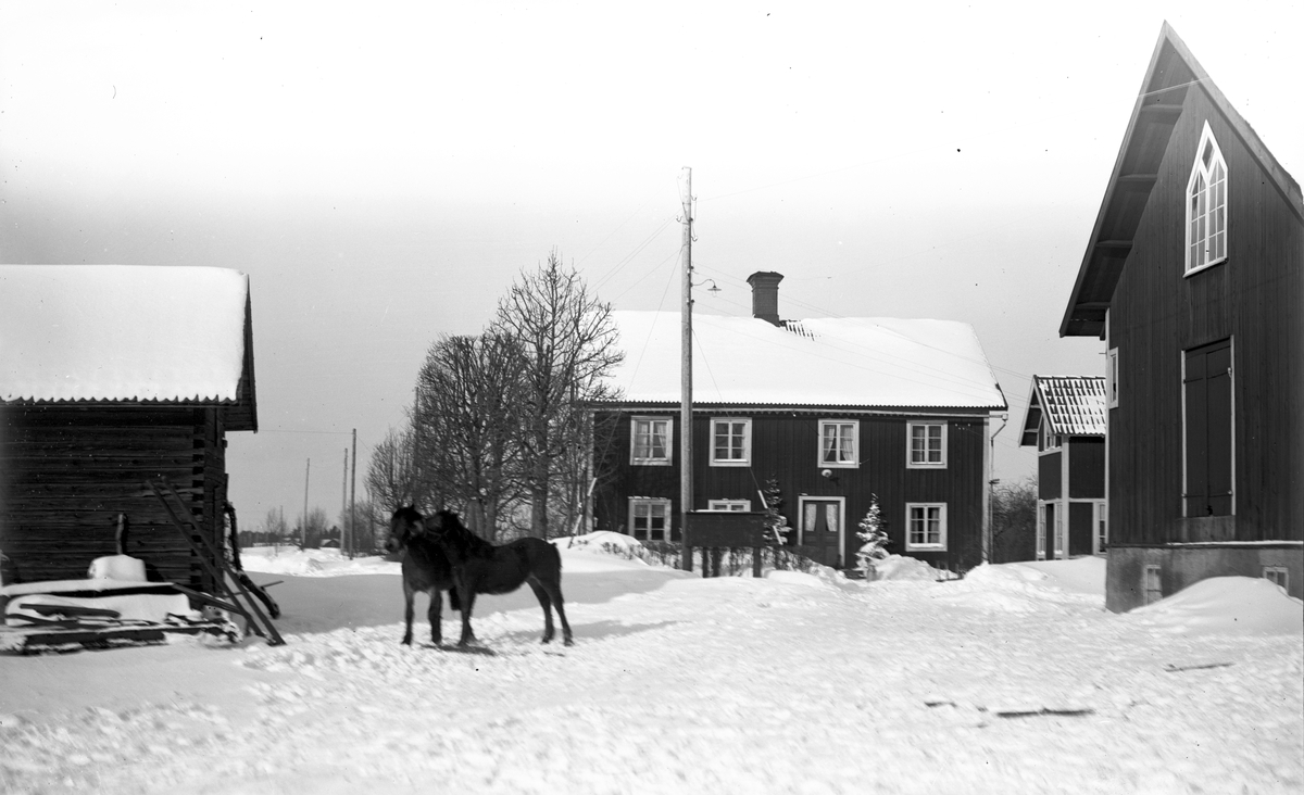 Vintermotiv från "Erik-Lars", Hästbo.