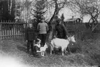 Från vänster: Fäll-John (John Jonsson), Sven Ek, okänd lilldräng i Fällene samt Fäll-Anna (Anna Jonsson). I bakgrunden skymtar Lings. Foto omkring 1918.