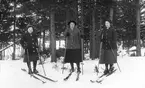 Från vänster: Tyra (född 1907), Anna (född 1900) och Hilda (född 1902) Styf, Voxsätter 4:30.