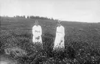 Ebba Wikström och Karin Larsson, född 1901, på blomsteräng.