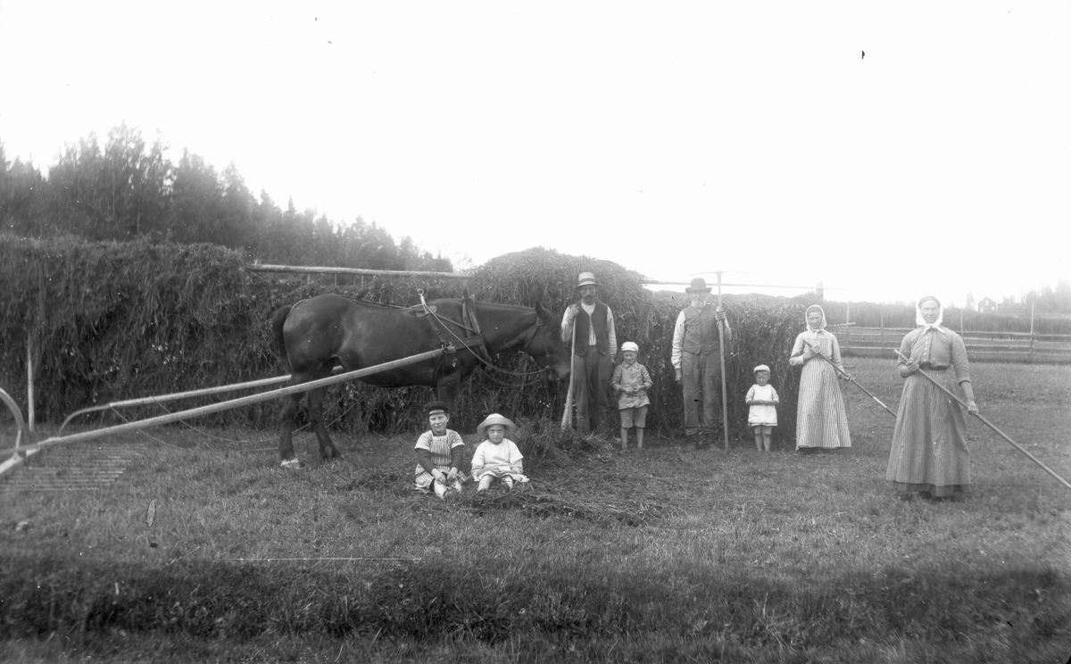 Slåtter. Fyra vuxna, fyra barn, personerna okända.