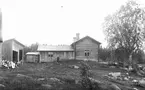 Flicka med hund framför okänd gård. Foto i juli 1917.