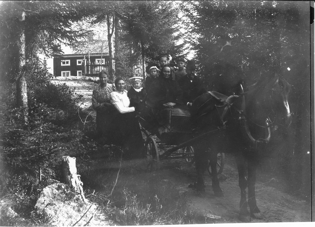 Fotografen Per Lindbergs föräldrar är på väg till Järvsö efter ett besök hos Lindbergs på "Berget" i Östansjö. 
Extern kommentar: Per Lindbergs mamma Margta var född 1811 och dog 1883-11-26 på fattiggården i Järvsö. Enligt husförhörslängden, Järvsö AI:25 b, s 718 flyttade Per till Östansjö, Bollnäs 1889. Om det här är från ett besök i Östansjö låter det i så fall troligare att det här skulle vara hans äldre bror Jonas Lindberg med fru och barn.