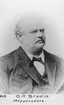 Skeppsredare Olof August Brodin.
