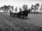 Gefle Åkerredskap AB
Atlas, Brynäs
Företaget grundades 1897

Två män bakom en harv 