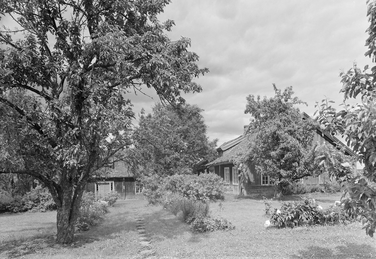 Lalum gard, Stange, eksteriør, hage.