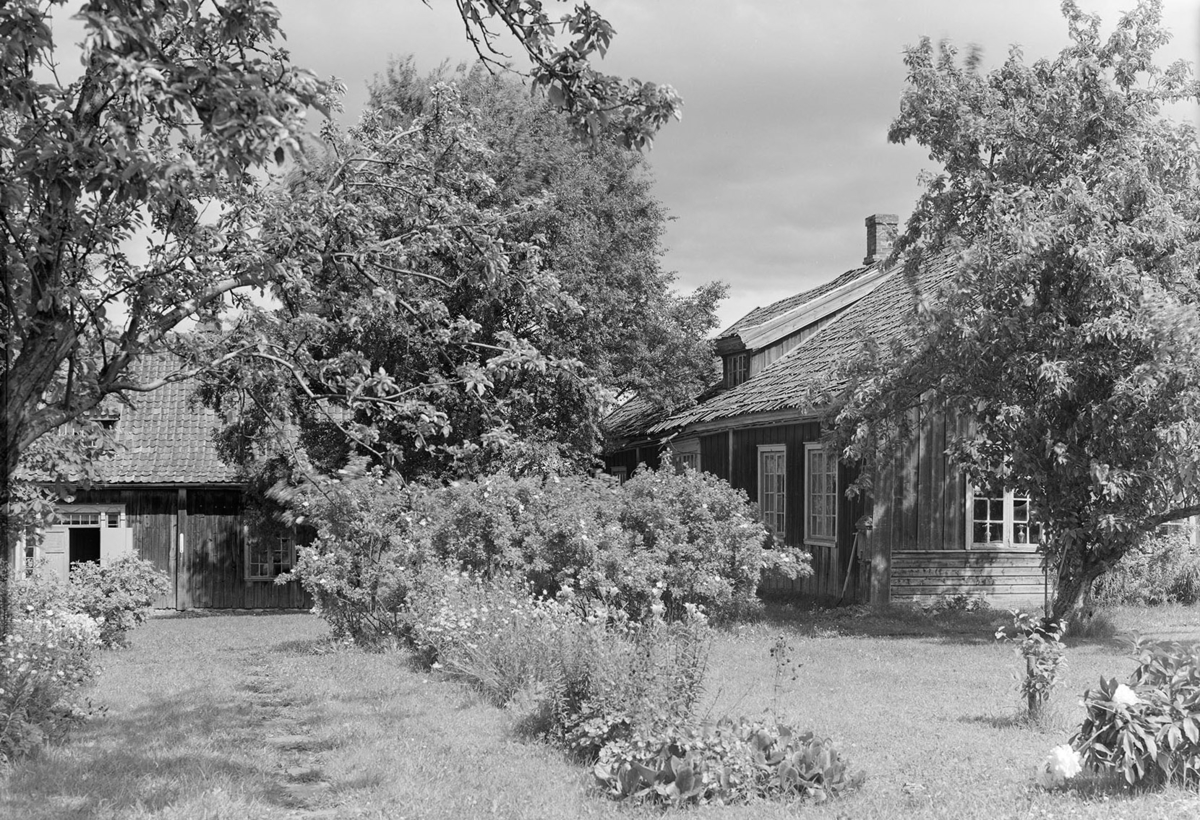 Lalum gard, Stange, eksteriør, hage.