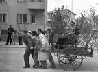 Studentexamen från Tekniska Gymnasiet. Lövad vagn. Gävle 1950.