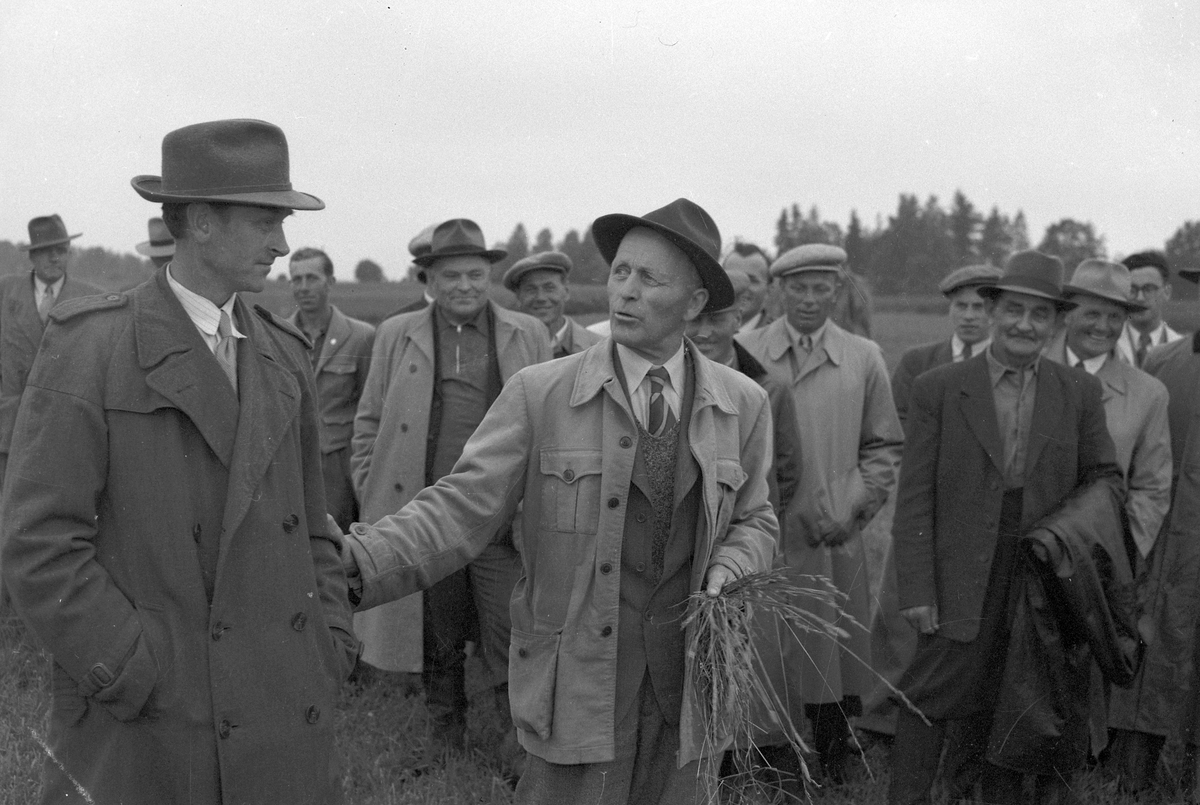 Lantbruksdag i Österfärnebo. Sundins gård i Backa. Kons. Larsson hushållningssällskapet. 30 juni 1950. Österfärneboreportage i Gefle Dagblad.


