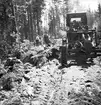 Vägbygge några mil norr om Storvik. Augusti 1950. Reportage för Gefle Dagblad och Norrlands Posten.