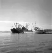 Gävle hamn, invasion av fartyg. Augusti 1950.