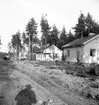 Valboreportage av nybyggen Öby, Valbo 31 juli 1952.