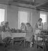 Västerbergs Folkhögskola, Storvik 40 årsjubileum i samband
med renovering. 2 oktober 1950.