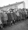 Gävle stads Sparbank, plantering av ek vid Nynäs. 31 oktober 1950.