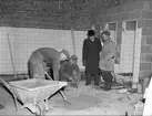 Åshammars bultfabrik. Interiör med arbetare och chef. 3 februari 1951.