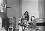 Folkets Röstredaktion. Familjer boende i sommarvillor i Lervik.    5 mars 1951.