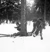 Nynässkolan beredskapsövning på skidor. 9 mars 1951.