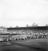 Svenska Flaggans Dag på Strömvallen. 6 juni 1951.