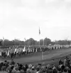 Svenska Flaggans Dag på Strömvallen. 6 juni 1951.