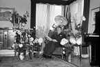 Jubilar i hemmet. 30 oktober 1951. Herr G. Nordahl,
Herrgårdsgränd 4.