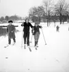 Årets första snö. 16 november 1951. Islandsplan, Brynäs.