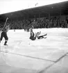 Bandymatch Forsbacka - Hammarby,  på Strömvallen. 13 januari 1952.