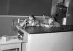 Tekniska gymnasiet, interiör från laboratoriet. Pojkar i arbete. 27 mars 1952.