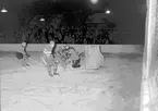 Ishockey  Gästrikland - Hälsingland. 7 december 1952.