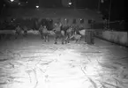 Ishockey  Brynäs - Strömsbro. 20 december 1952.