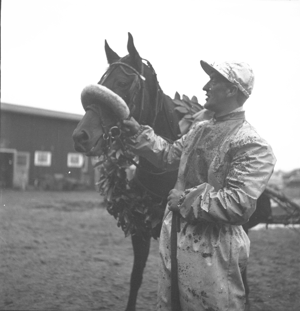 Travbanan, stora varmblodsloppet. 5 oktober 1952.
Escarole & Kalle Svensson efter segern i "Gävletravets större varmblodslopp" 5 oktober 1952. Segertid 1.28,8/2 500 meter.