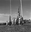 Hållnäs Lantbruksutställning. Uppland den 6 augusti 1949