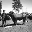 Hållnäs Lantbruksutställning. Uppland den 6 augusti 1949