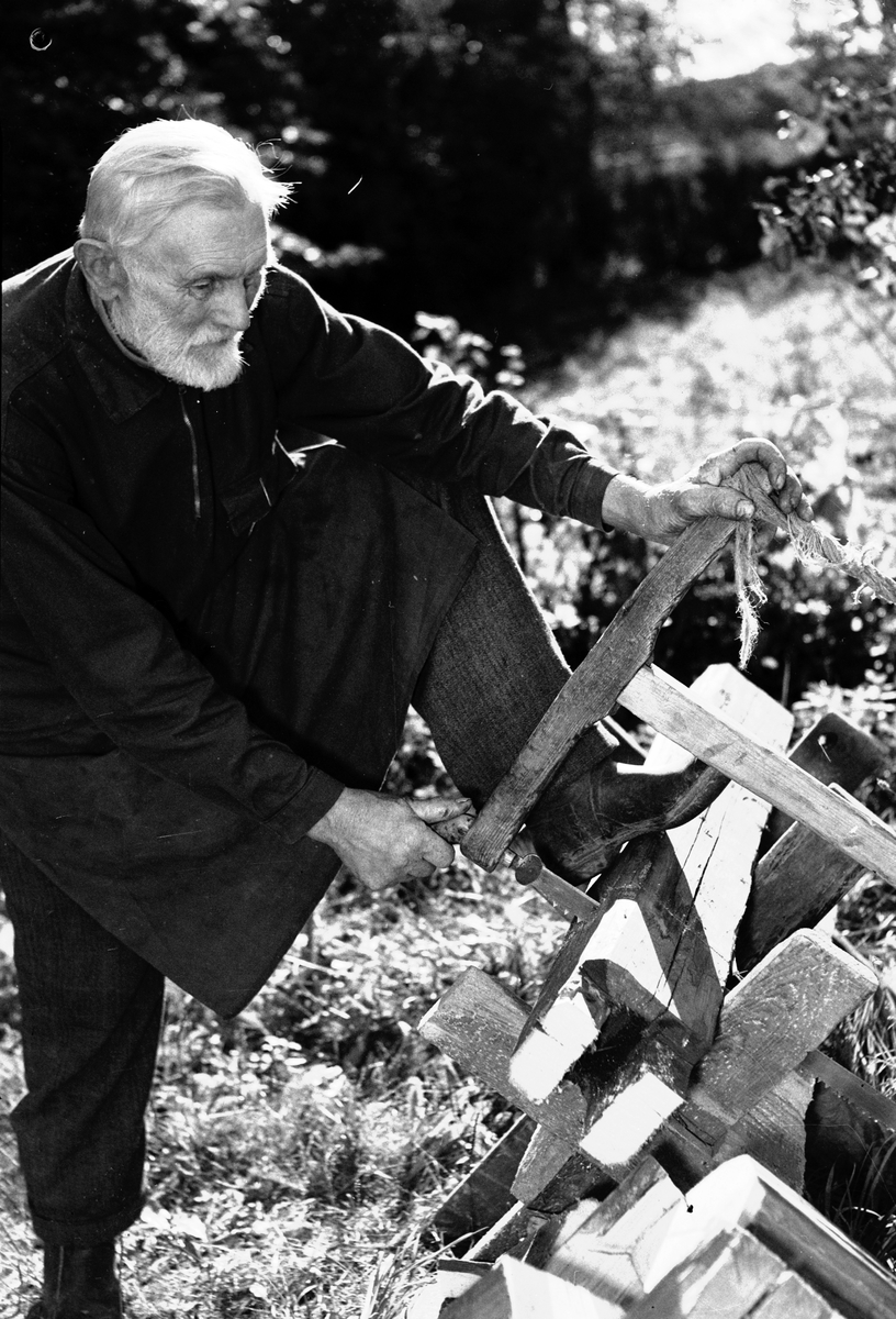 J. Andersson sågar ved. Reportage för Arbetarbladet. Den 23 september 1949