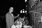 Telegrafverket invigs Juni 1950